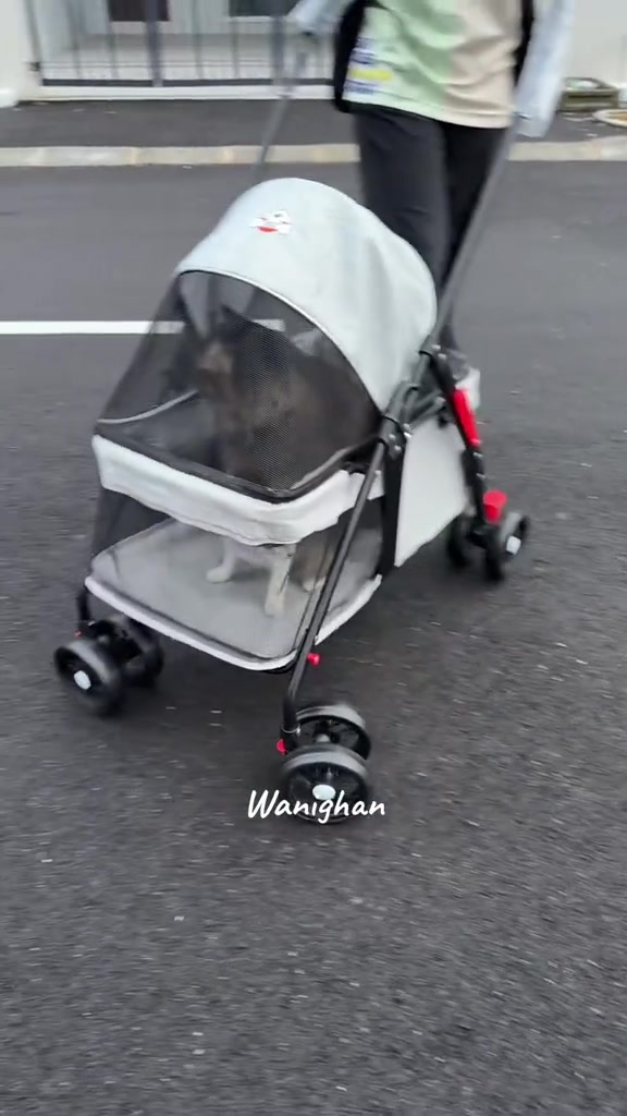 Kucing duduk dalam stroller kelabu berjaring sambil ditolak di jalan taman perumahan
