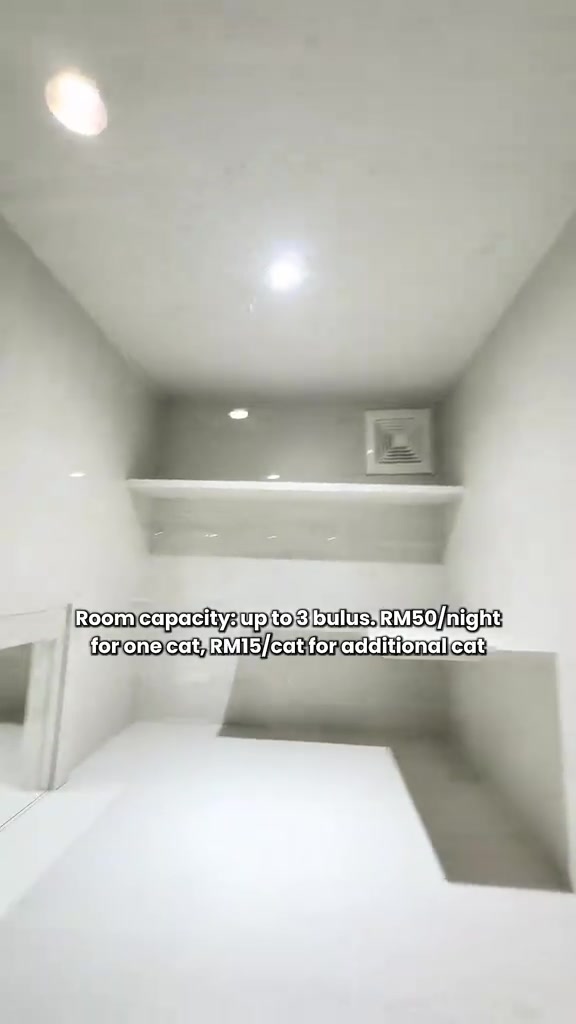 Dalam bilik cat hotel berdinding putih dengan teks kapasiti sampai 3 ekor, RM50 semalam untuk seekor kucing