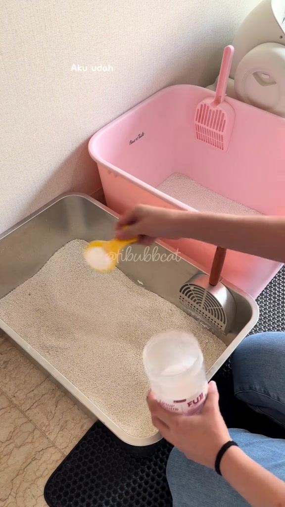 Pewangi kotak pasir kucing: baking soda, zeolite, arang aktif dan serbuk beraroma — mana saya pakai, mana saya elak