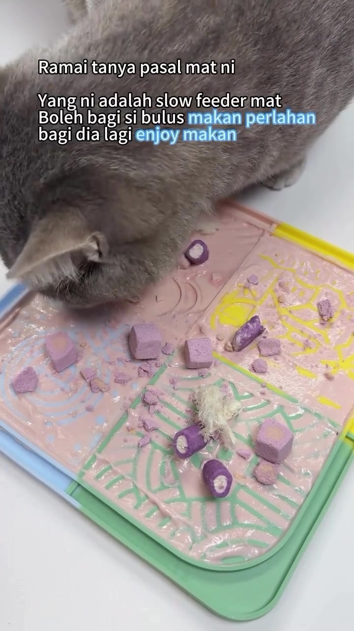 Kucing kelabu menjilat slow feeder mat pastel yang bertabur freeze-dried treats kecil