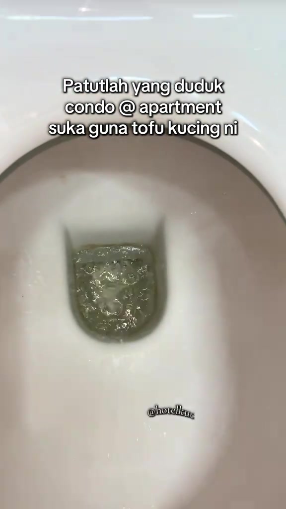 Sisa buih dan hampas pasir kucing masih kelihatan dalam mangkuk tandas selepas diflush