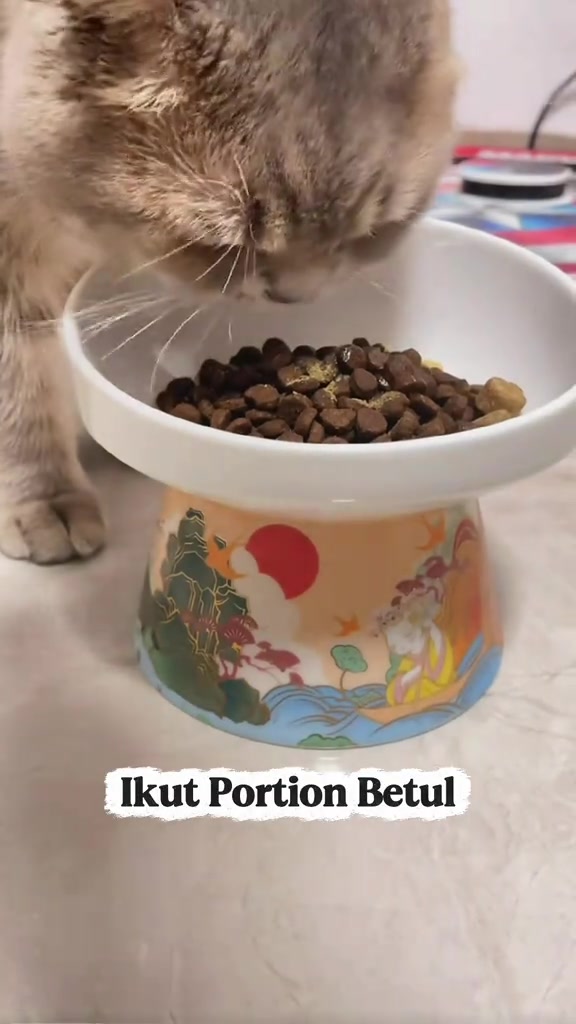 Kucing menunduk makan kibbles dari mangkuk putih bertiang, dengan tulisan ikut portion betul
