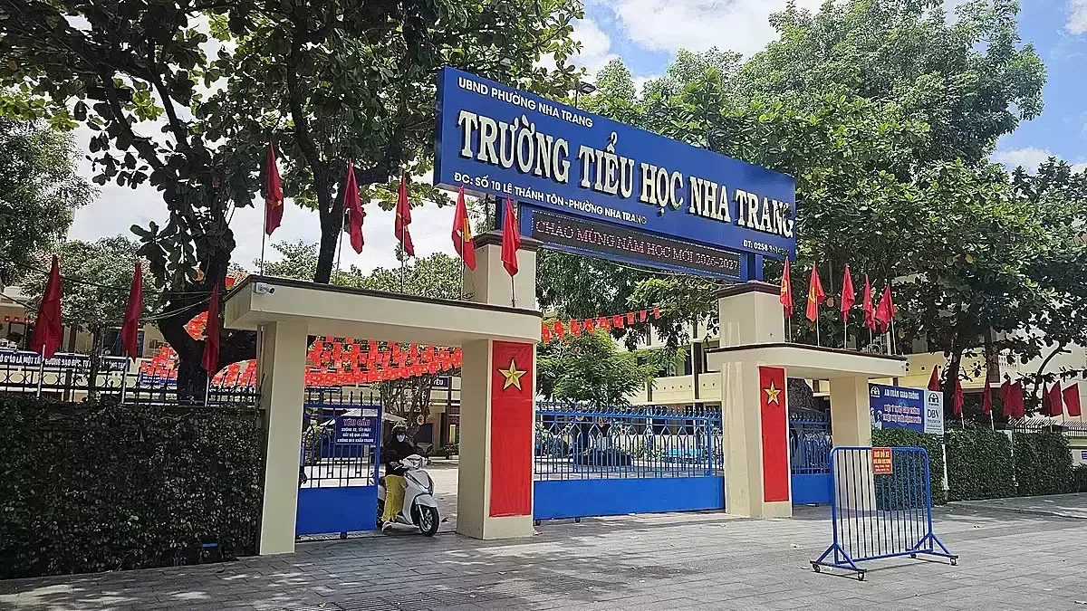 114 ‘siêu trường’ sau sáp nhập: quản trị quy mô lớn cần đổi mới
