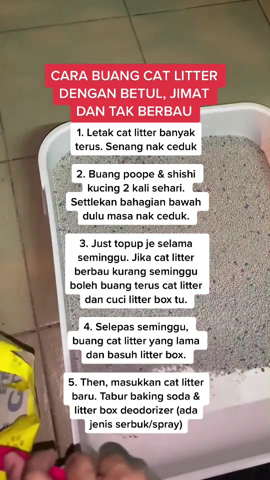 Kotak pasir kucing dengan senarai langkah membuang dan menjaga cat litter ditulis dalam teks melayu di atas gambar
