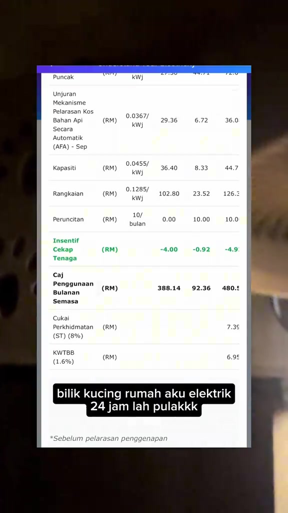 Tangkap skrin pecahan bil elektrik: baris AFA, Kapasiti, Rangkaian, Peruncitan, Cukai Perkhidmatan 8% dan KWTBB 1.6%