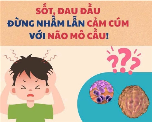 Sốt cao đột ngột ở trẻ: Phân biệt cúm với bệnh não mô cầu để không lỡ cơ hội sống