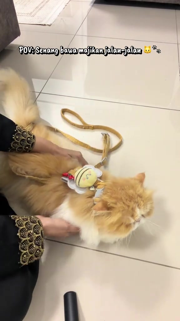 Kucing bulu oren baring santai di lantai jubin dengan harness terpakai dan tali kuning longgar di sebelah, fasa latihan dalam rumah