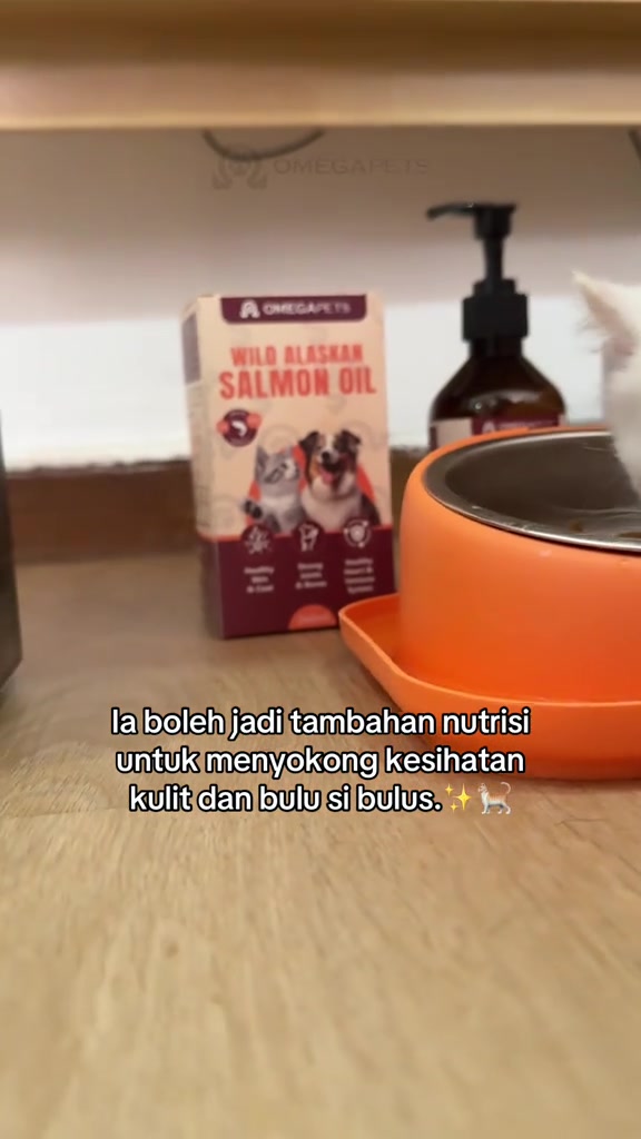 Kotak dan botol Wild Alaskan Salmon Oil berdiri di sebelah mangkuk makanan kucing berwarna oren
