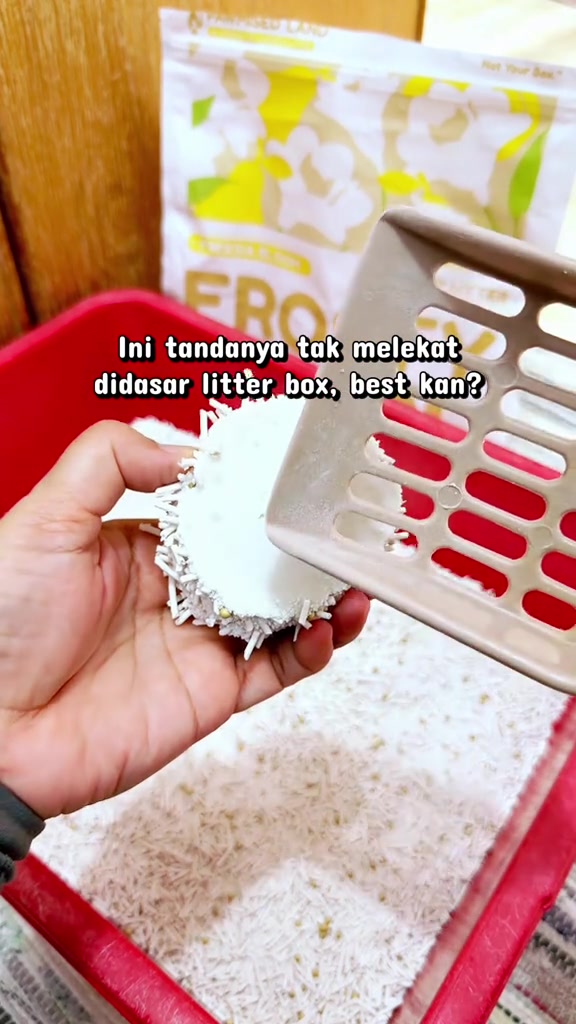 Tangan memegang clump putih bulat di sebelah scoop pasir di atas kotak pasir merah, clump tidak melekat pada dasar