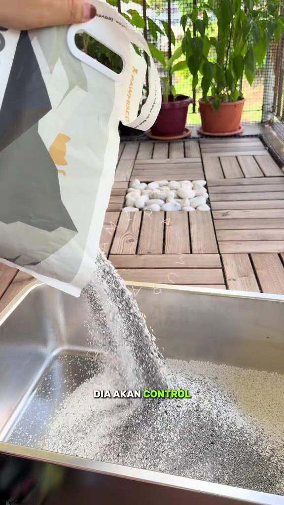 Pasir campuran cassava dan mineral kelabu dituang dari beg ke dalam tray stainless di balkoni tanpa awan habuk