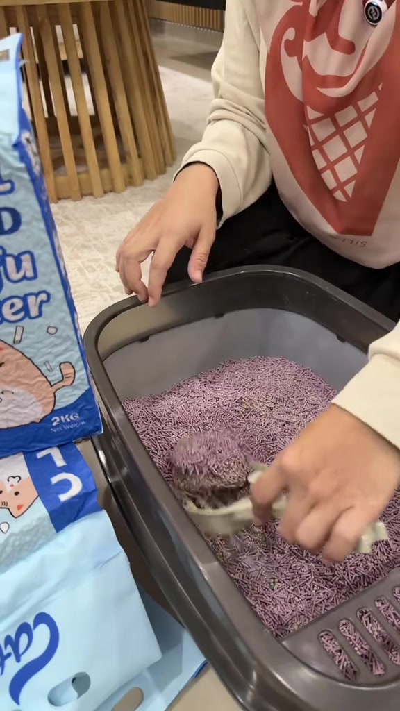 Tangan mencedok clump dari pasir ungu 4-in-1 dengan beg Catto 2kg berdiri di sebelah kotak pasir