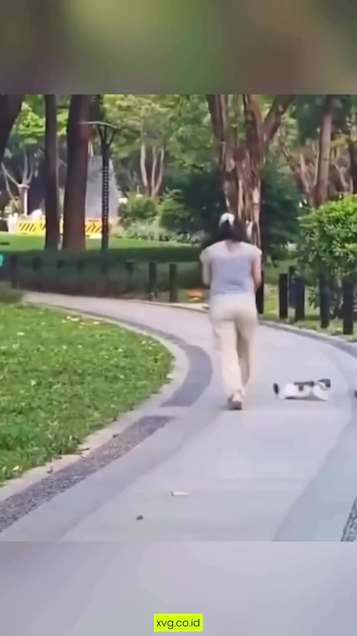 Kucing berbintak menelungkup tidak mahu bergerak di laluan taman sementara orang di hujung tali terus berjalan meninggalkannya