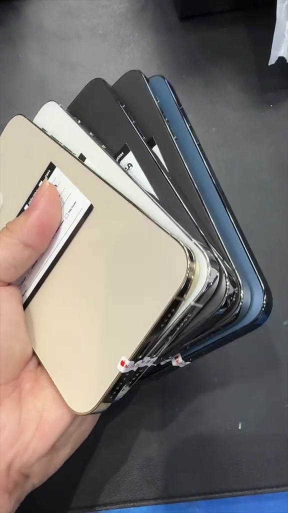 Năm chiếc iPhone 12 Pro Max cũ đủ màu vàng, bạc, than chì, xanh xếp quạt trên tay, lưng dán tem bảo hành