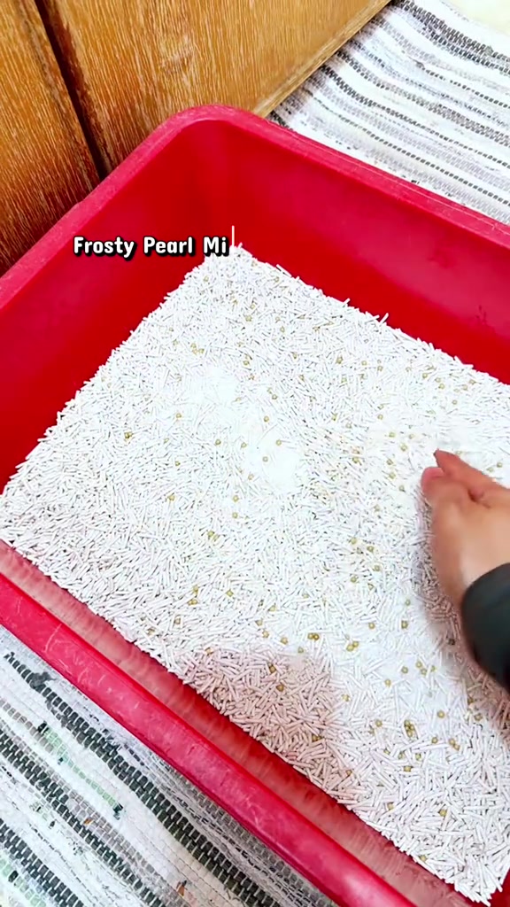 Kotak pasir merah berisi pellet campuran tofu dan cassava putih dengan tangan meratakan permukaan pasir