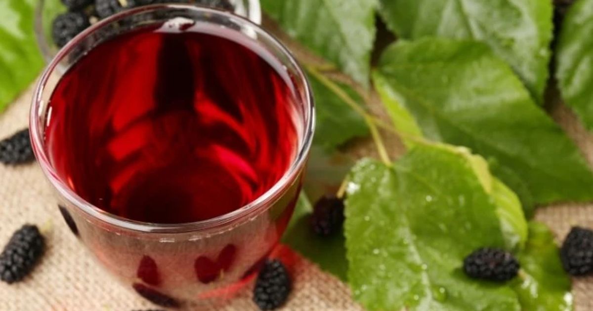 7 loại lá và cây dân dã hỗ trợ sức khỏe ít người dùng