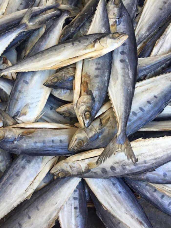 Cá thu, cá trích, cá cơm: Cá bình dân thay cá hồi giàu omega-3