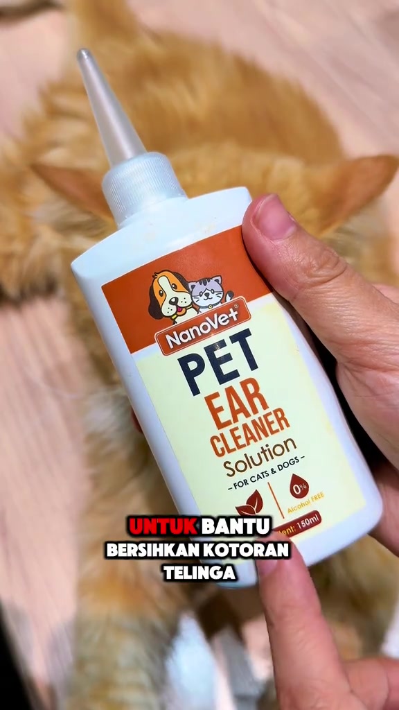 Botol NanoVet Pet Ear Cleaner Solution 150ml dipegang di hadapan kucing oren yang berbaring