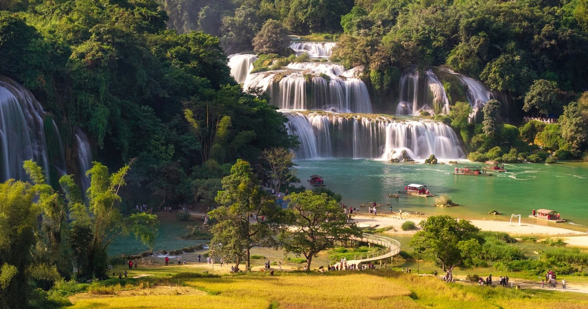 Săn khoảnh khắc mùa vàng: từ thác, ruộng bậc thang đến đồi cỏ