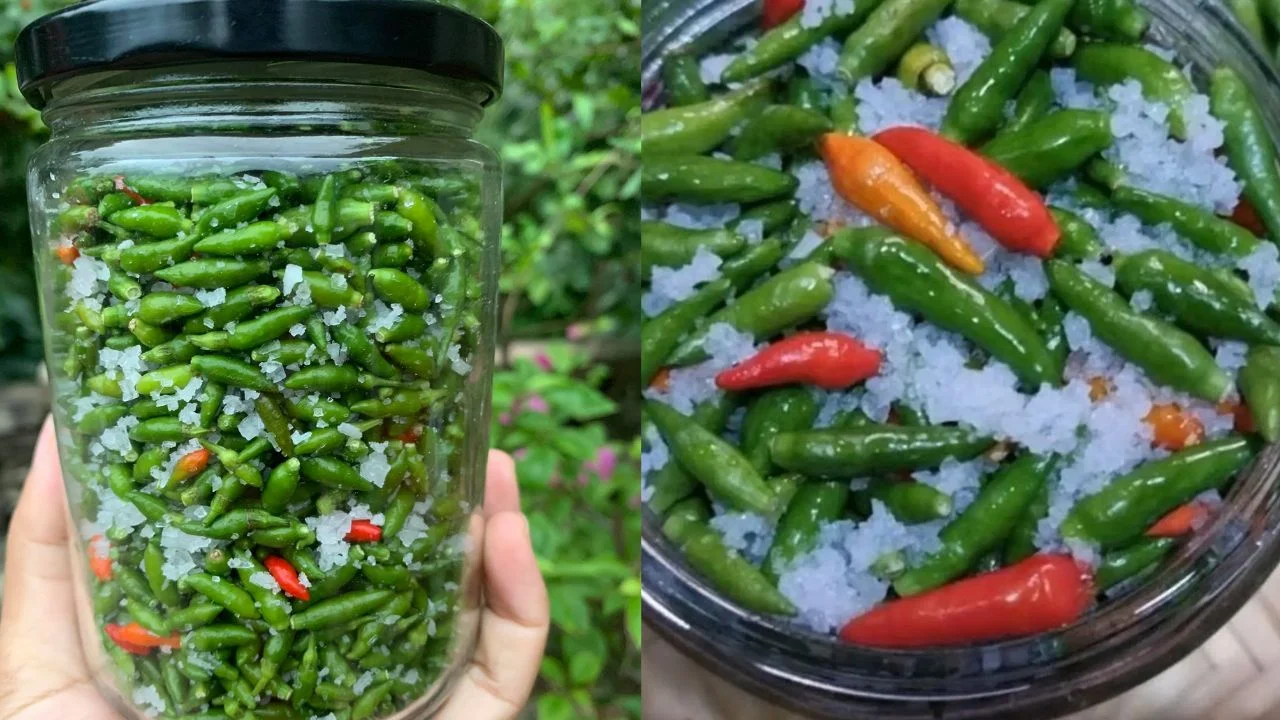 Bí quyết muối cà pháo và ớt xiêm xanh giòn ngon cả năm