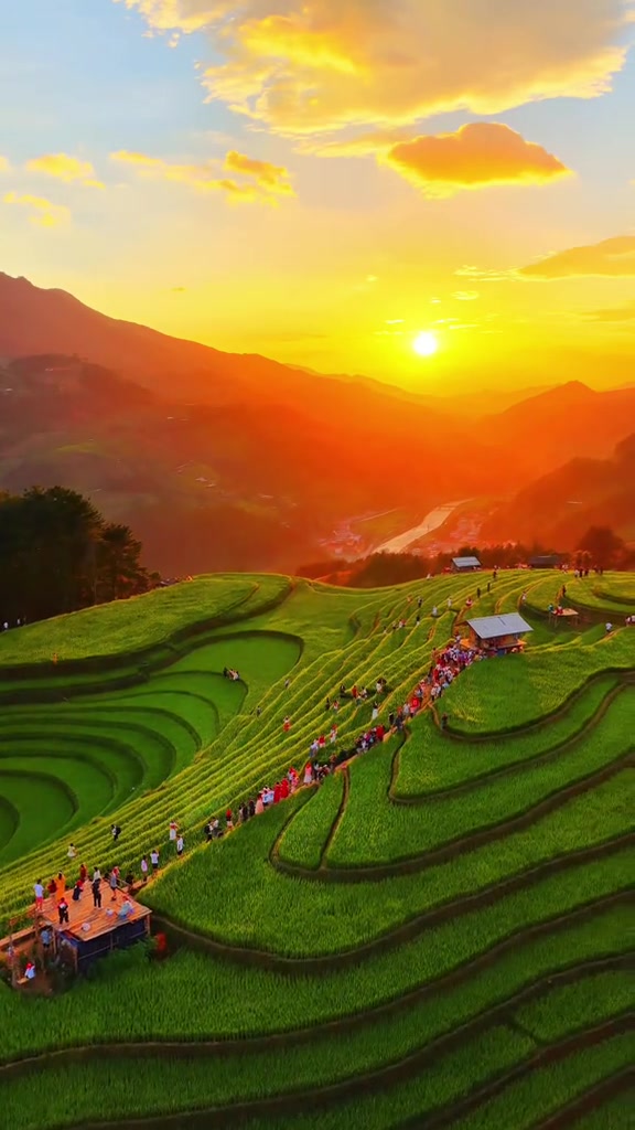 Ruộng bậc thang Đồi Móng Ngựa ở Mù Cang Chải, Yên Bái nhìn từ trên cao lúc hoàng hôn, từng đoàn khách đi dọc bờ ruộng