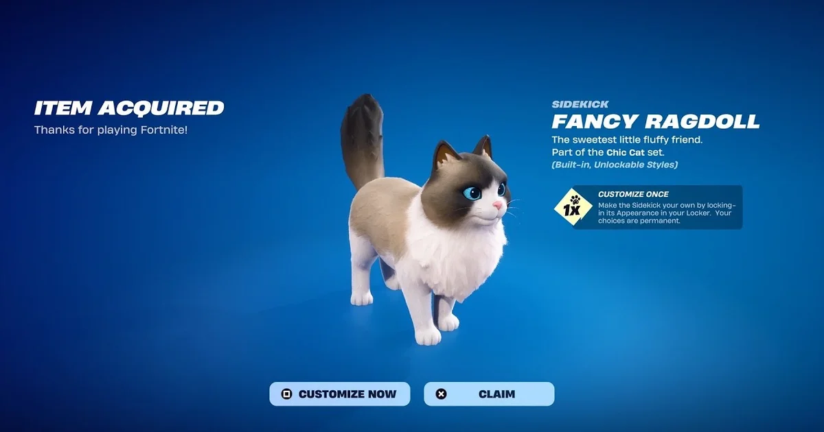 Hướng dẫn sở hữu Fancy Ragdoll Sidekick trong Fortnite