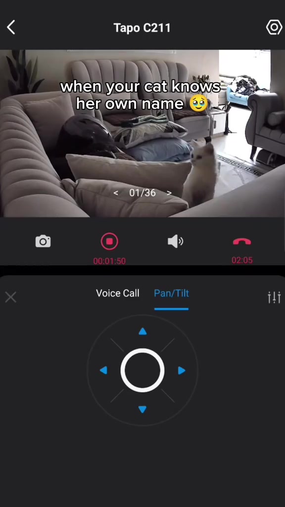 Skrin aplikasi Tapo menunjukkan pandangan langsung ruang tamu dengan kucing putih dekat sofa, bersama kawalan pan/tilt dan panggilan suara