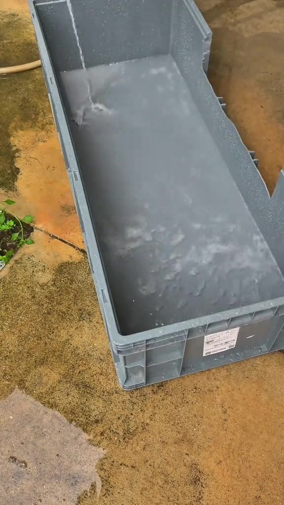 Bekas plastik kelabu panjang dibilas dengan air di atas lantai luar rumah
