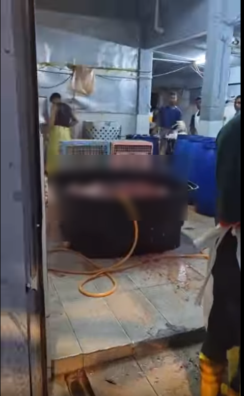 Sijil Halal Hilang dan Video Tular: Risiko Beli Ayam di Pasar Pudu