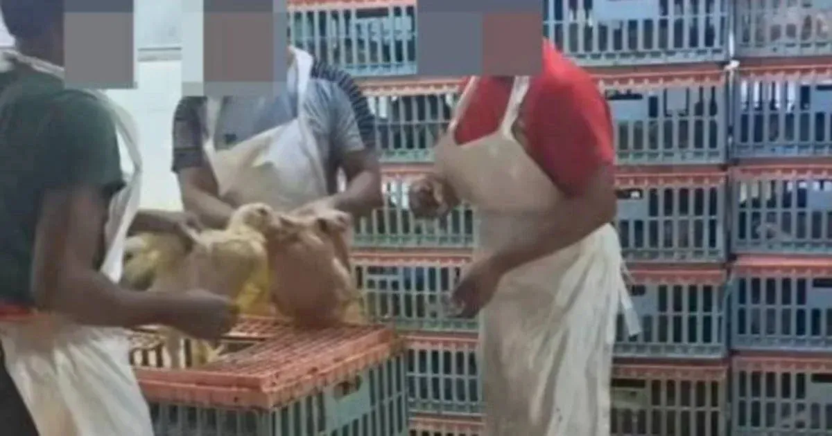 Sijil Halal Hilang dan Video Tular: Risiko Beli Ayam di Pasar Pudu