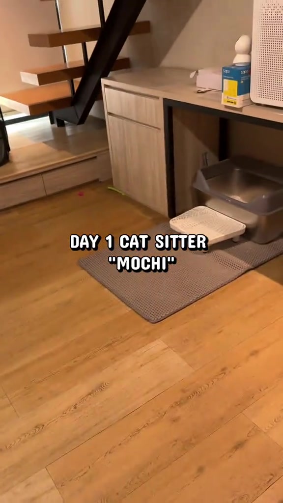 Sudut apartment dengan kotak pasir kucing bertingkat, tikar litter di lantai kayu dan tangga di sebelah, contoh ruang kecil yang boleh jadi bilik selamat