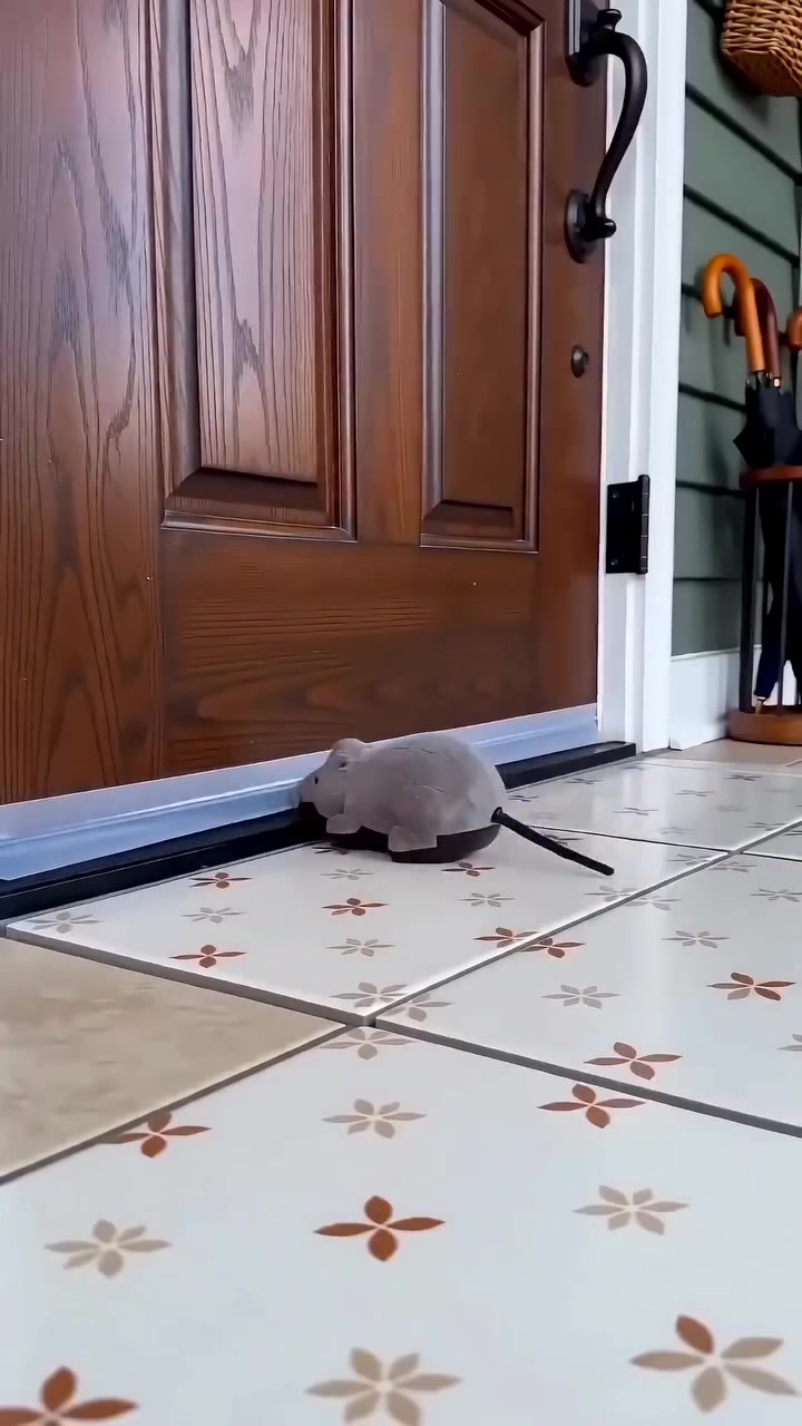 Tikus mainan tersangkut di jalur seal bawah pintu menunjukkan celah sudah tertutup rapat