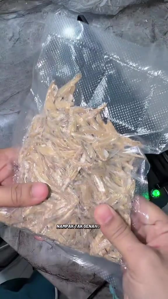 Tangan memegang beg vacuum kedap udara berisi ikan bilis kering yang sudah divacum rapat