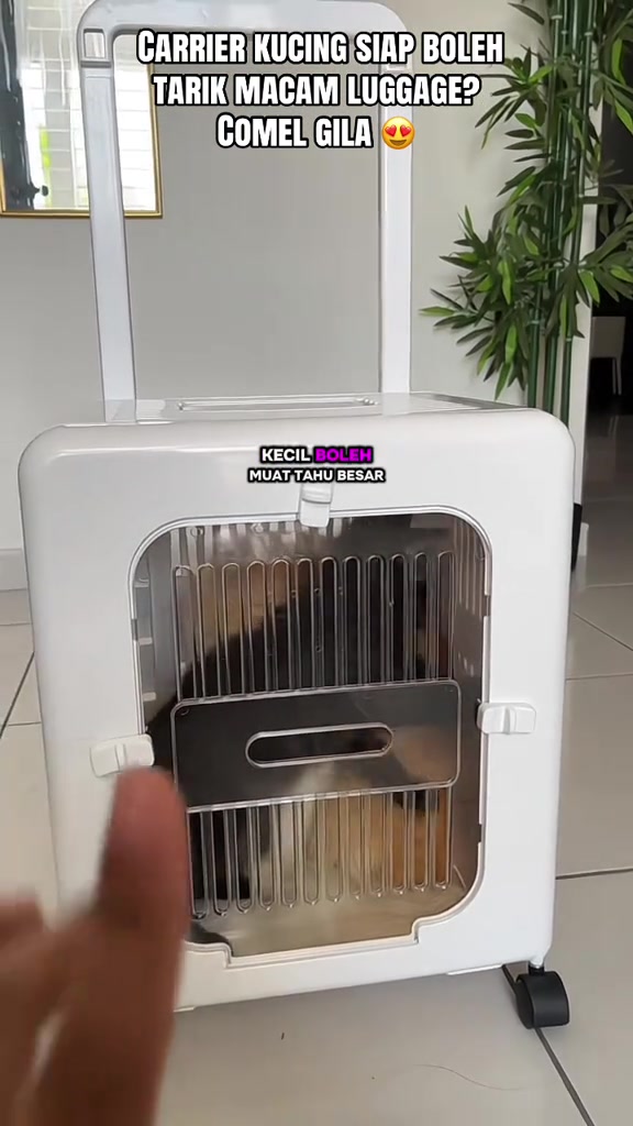 Carrier kucing trolley berwarna putih dengan pemegang tarik dan pintu jeriji logam, kucing kelihatan duduk di dalamnya