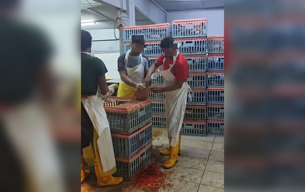 Pemeriksaan Mendadak Dedahkan Pelanggaran Kebersihan Serius