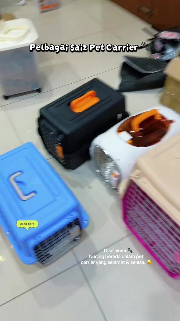 Beberapa buah carrier kucing plastik keras berwarna biru, hitam, putih dan merah jambu disusun di atas lantai
