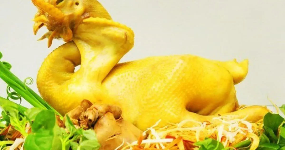 Luộc gà hoàn hảo: tránh 4 sai lầm, da vàng giòn thịt mềm