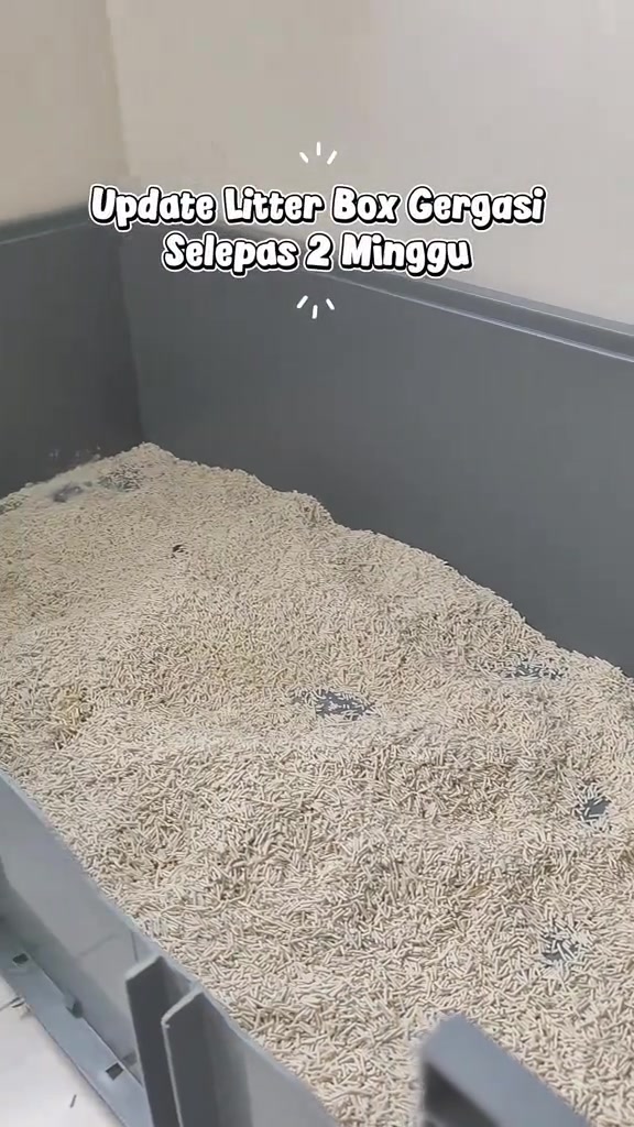 Pasir tofu berwarna krem memenuhi bekas plastik kelabu besar, pandangan dekat dari hujung bekas