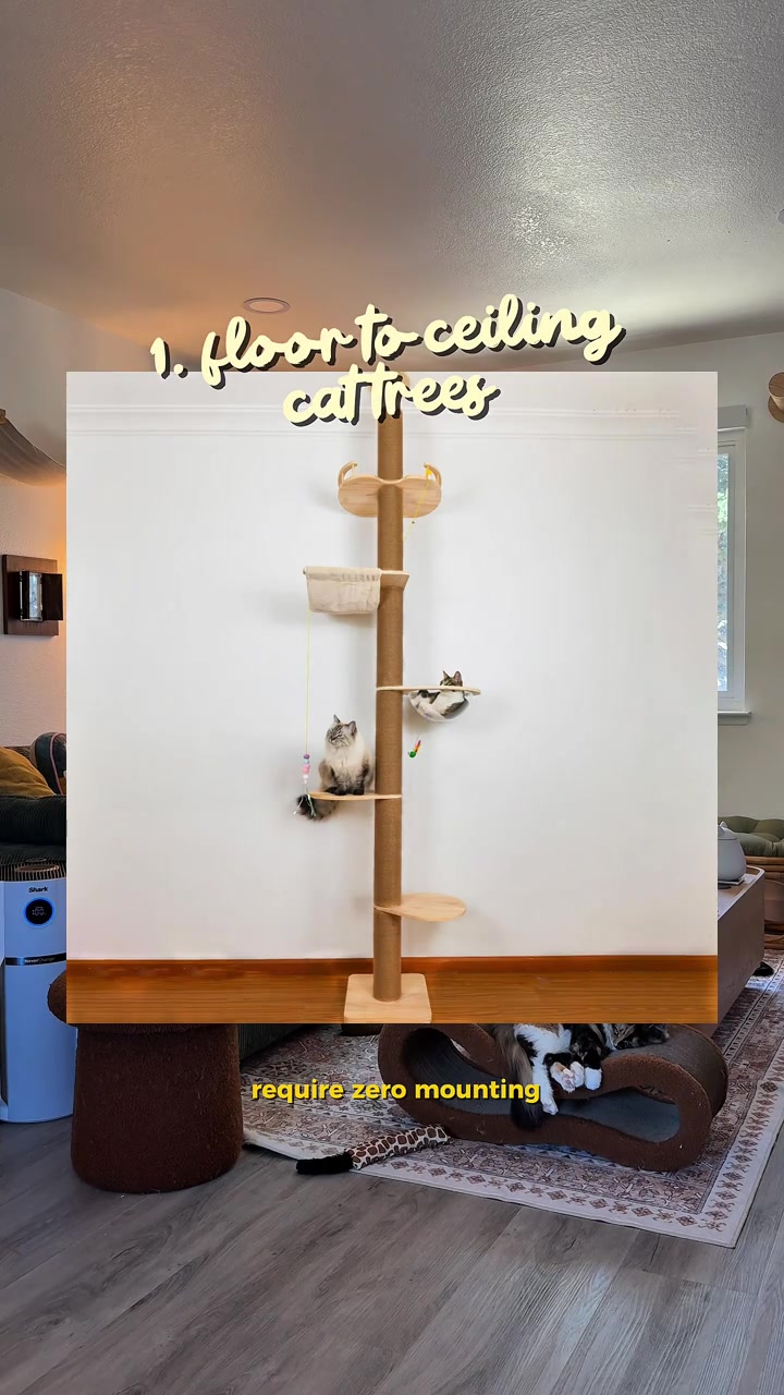 Cat tree dari lantai ke siling dengan platform kayu bertingkat dan dua kucing duduk di platform berbeza dalam ruang tamu