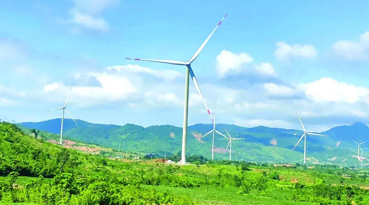 Tây Ninh, Vĩnh Long, Quảng Trị: cuộc đua trở thành trung tâm năng lượng xanh Đông Nam Á