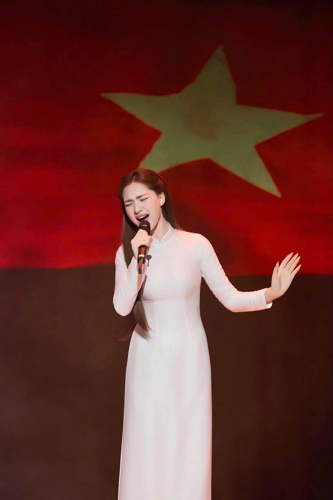 Đại nhạc hội miễn phí 30.000 khán giả: Tùng Dương và Hòa Minzy tỏa sáng tại 'Tự hào là người Việt Nam'