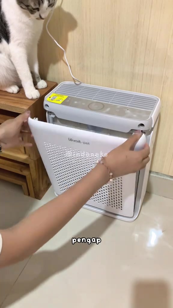 Kucing putih bertompok duduk di sebelah air purifier Levoit Pet yang panel depannya dibuka