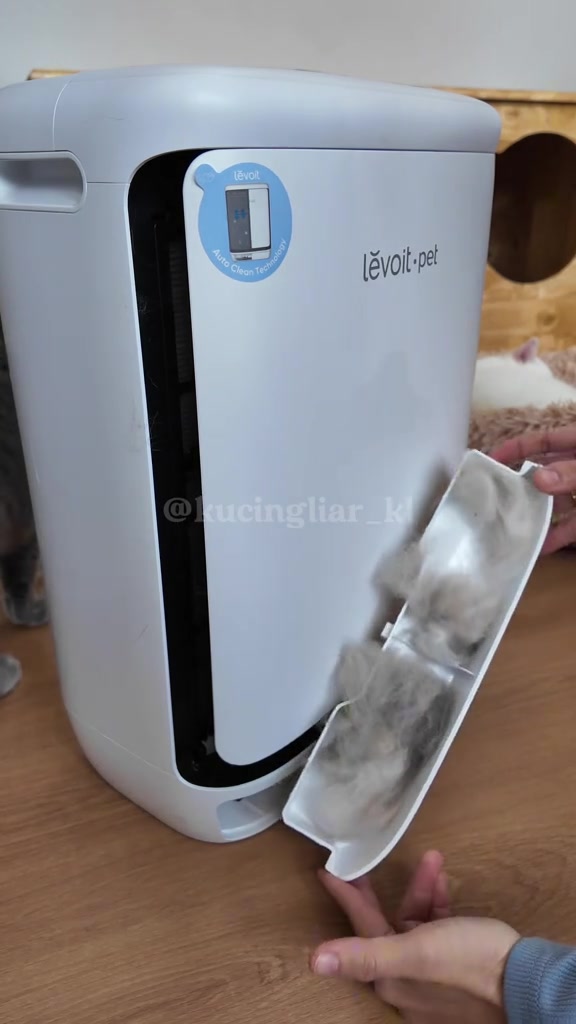 Dulang pre-filter air purifier Levoit Pet dikeluarkan dengan gumpalan bulu kucing melekat padanya