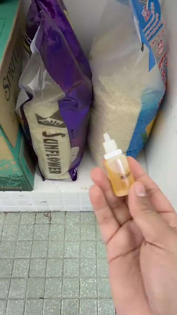 Tangan memegang botol kecil berisi cecair umpan semut kuning di hadapan beg-beg beras atas rak dapur