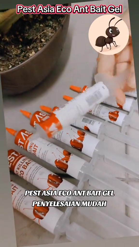 Deretan penyuntik gel umpan semut berbaris di atas meja
