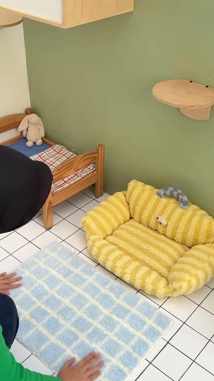 Sudut kucing dalam apartment: dinding hijau dengan rak dinding kayu, katil kucing kecil, sofa kucing berbulu kuning dan alas lantai biru