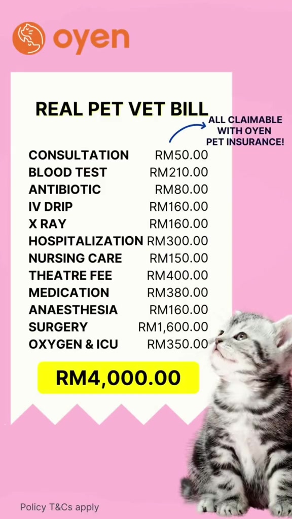 Infografik contoh bil rawatan veterinar kucing berjumlah RM4,000 dengan butiran seperti pembedahan RM1,600 dan X-ray RM160