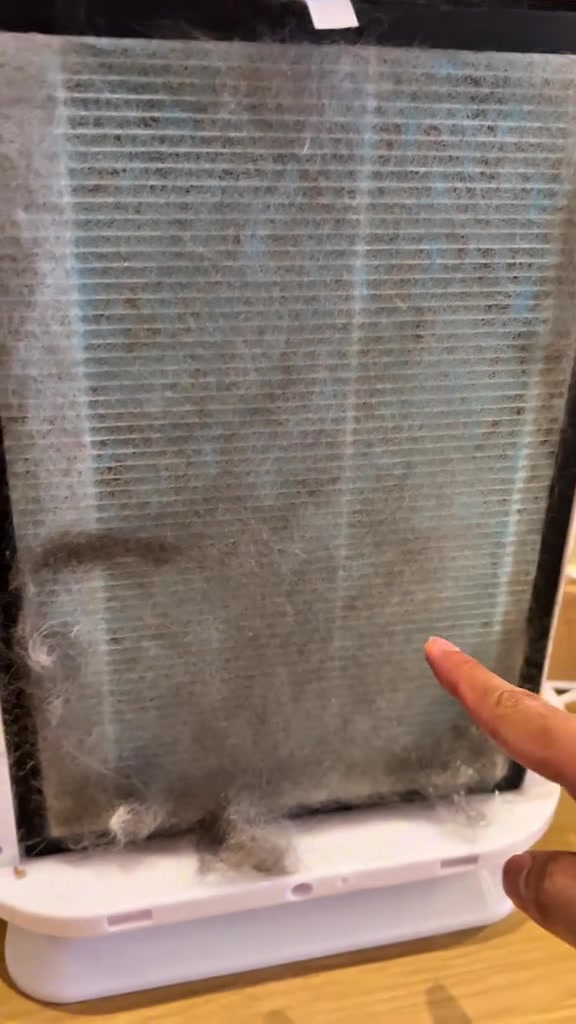 Air purifier untuk rumah ada kucing: harga RM, kos filter setahun, dan bulu dua majikan saya sebagai ujian paling jujur