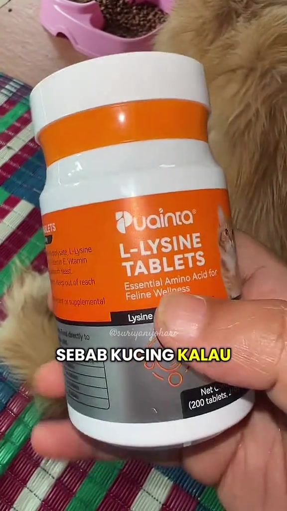 Tangan memegang botol Puainta L-Lysine Tablets berlabel oren, di belakangnya mangkuk kibbles merah jambu dan bulu kucing