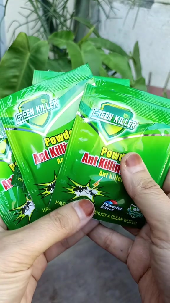 Dua tangan memegang beberapa sachet hijau Powder Ant Killing Bait