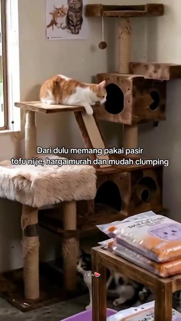 Longgokan pek pasir kucing tofu di atas meja kayu di sudut rumah, dengan kucing oren putih baring di cat tree berhampiran